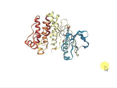 NGL viewer NGL viewer