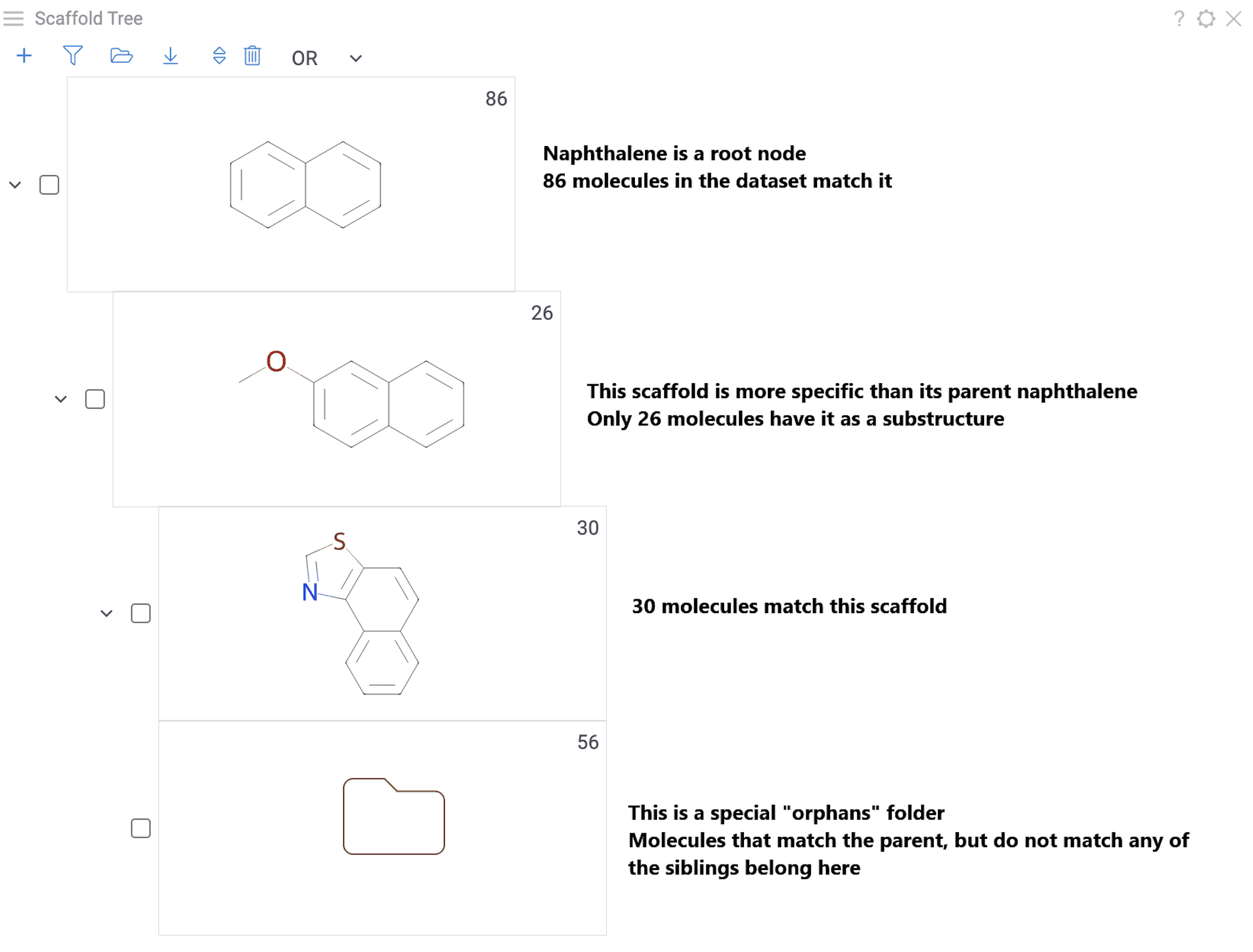 Scaffold tree anatomy
